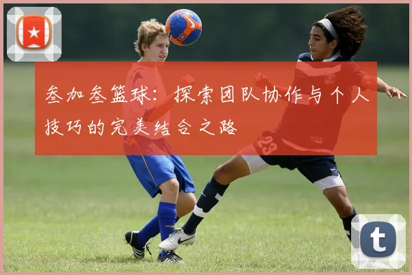 叁加叁篮球：探索团队协作与个人技巧的完美结合之路