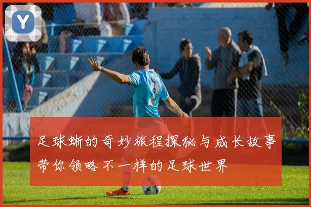 足球蜥的奇妙旅程探秘与成长故事带你领略不一样的足球世界